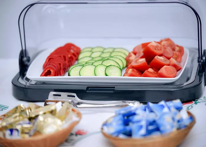 维斯康蒂军事酒店 3*